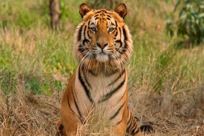 CHHATTISGARH