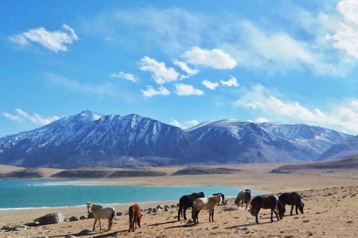 LADAKH