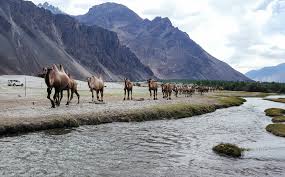 LADAKH