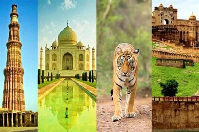 TIGER TOURS