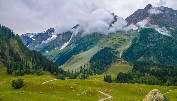 KASHMIR